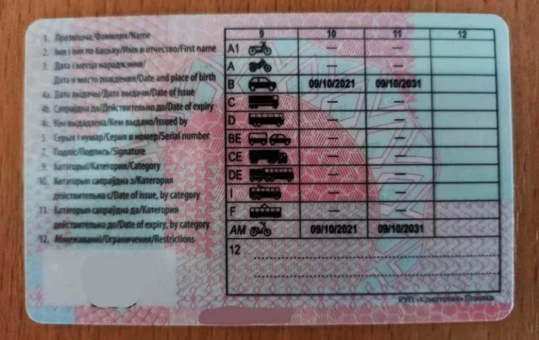 Права категории B: что нужно знать